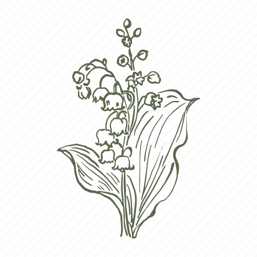 Lily of the valley, flower, botanical, nature, floral, blossom, leaf icon - Download on Iconfinder