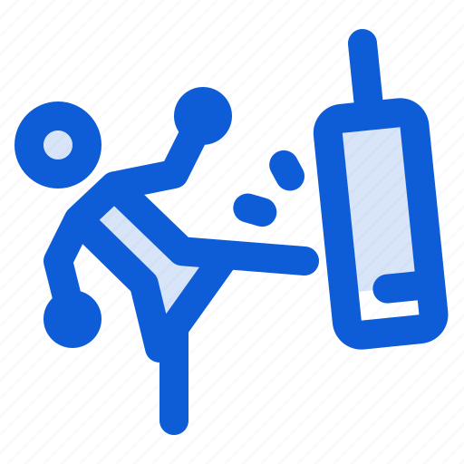 Kick, boxing, sandbag, practice, boxer, workout, woman icon - Download on Iconfinder