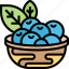 blueberries, fruits, fresh, nature, vegan 