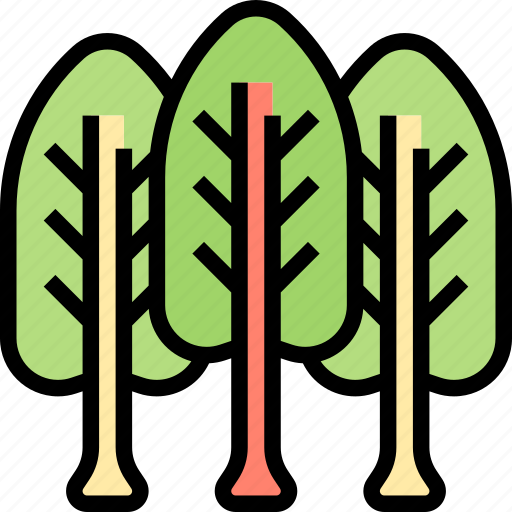 Chard, fiber, leaves, trees, garden icon - Download on Iconfinder