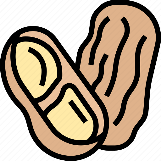 Peanuts, kernel, shell, raw, protein icon - Download on Iconfinder
