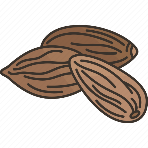 Almonds, nuts, snack, nutrition, organic icon - Download on Iconfinder