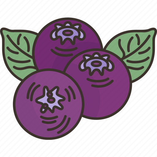 Blueberries, fruit, sweet, organic, harvest icon - Download on Iconfinder