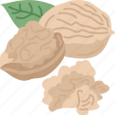 walnuts, kernel, healthy, snack, organic
