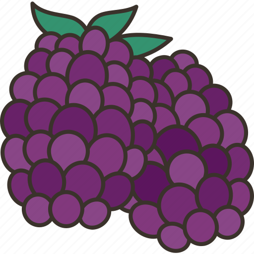 Blackberries, grapes, fruit, yield, organic icon - Download on Iconfinder