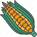 sweetcorn, maize, crop, farming, harvest