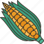 sweetcorn, maize, crop, farming, harvest 