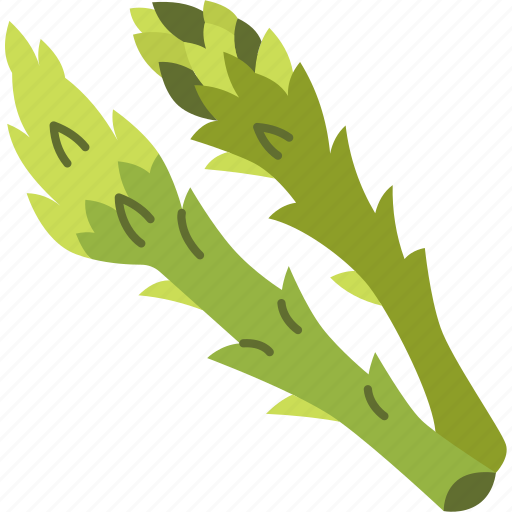 Asparagus, shoot, garden, plant, natural icon - Download on Iconfinder