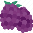 blackberries, grapes, fruit, yield, organic