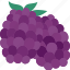 blackberries, grapes, fruit, yield, organic 