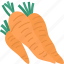 carrots, root, harvest, vitamin, farm 