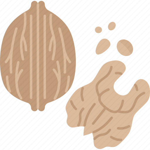 Walnut, kernel, seed, nutrient, antioxidant icon - Download on Iconfinder