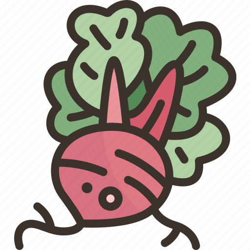 Beetroot, vegetable, food, plant, organic icon - Download on Iconfinder
