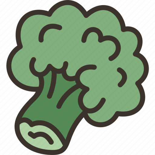 Broccoli, vegetable, diet, cooking, vitamin icon - Download on Iconfinder