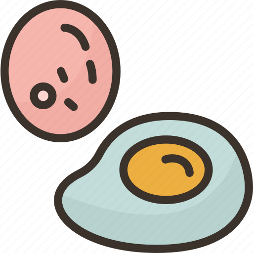 Eggs, food, protein, nutrition, fresh icon - Download on Iconfinder