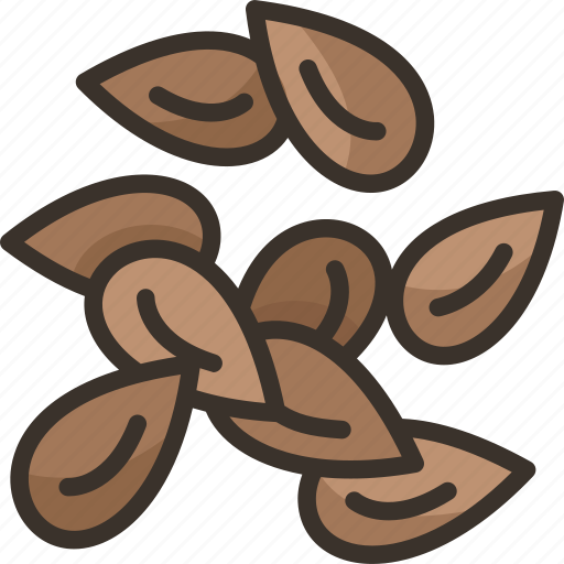 Flaxseeds, grain, diet, nutrition, food icon - Download on Iconfinder