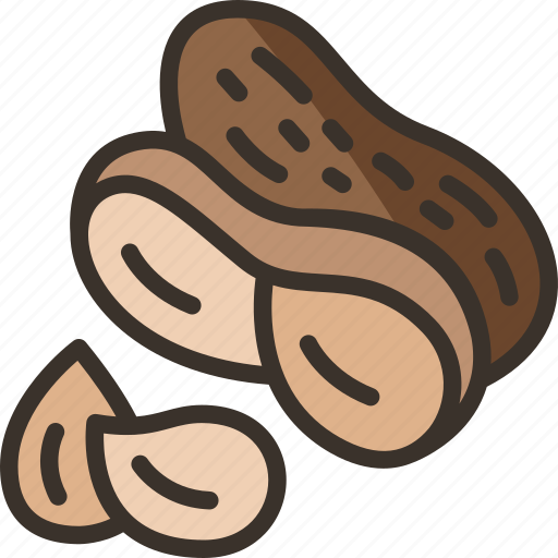 Peanuts, diet, snack, nutrition, food icon - Download on Iconfinder