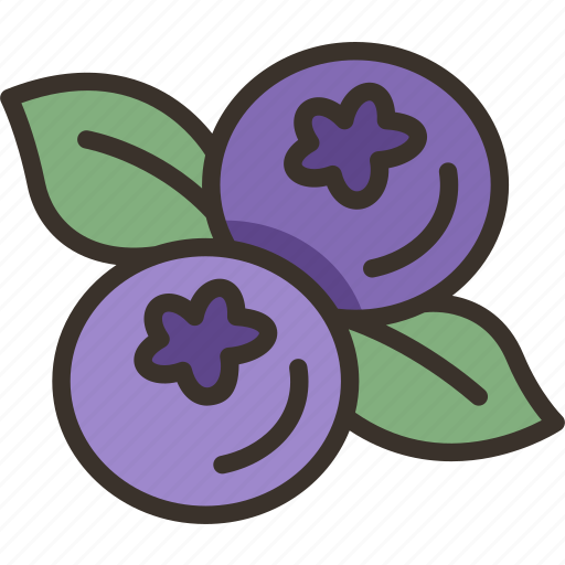 Blueberries, berry, fruit, organic, nutrition icon - Download on Iconfinder