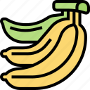 banana, fruit, food, diet, tropical