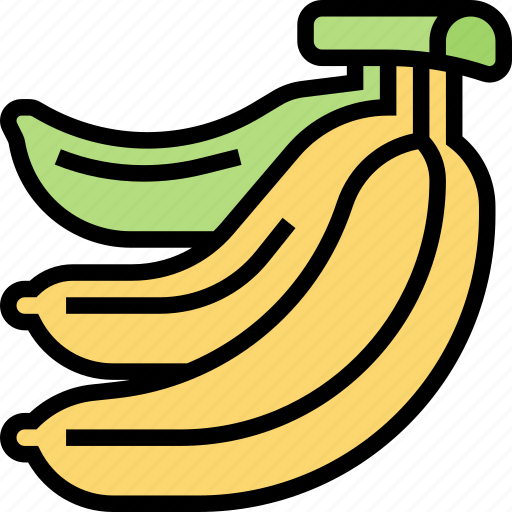 Banana, fruit, food, diet, tropical icon - Download on Iconfinder