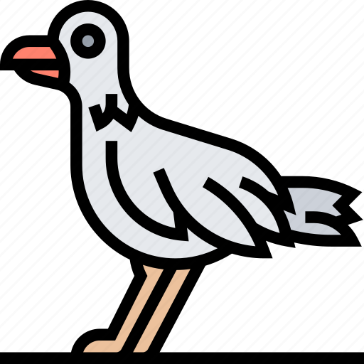 Bird, rufous, bellied, animal, nature icon - Download on Iconfinder