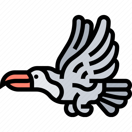 Bird, toco, toucan, tropical, wildlife icon - Download on Iconfinder