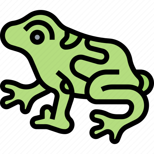 Frogs, poison, dart, amazon, wildlife icon - Download on Iconfinder