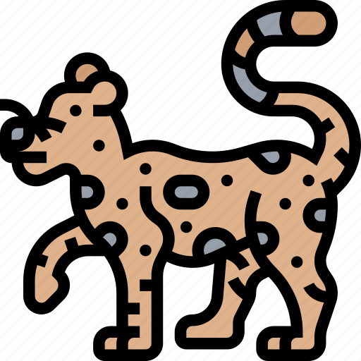 Jaguar, tiger, leopard, wildlife, animal icon - Download on Iconfinder