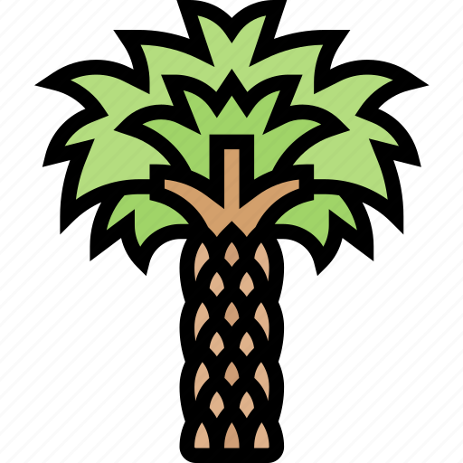 Palm, carnauba, tree, plant, tropical icon - Download on Iconfinder