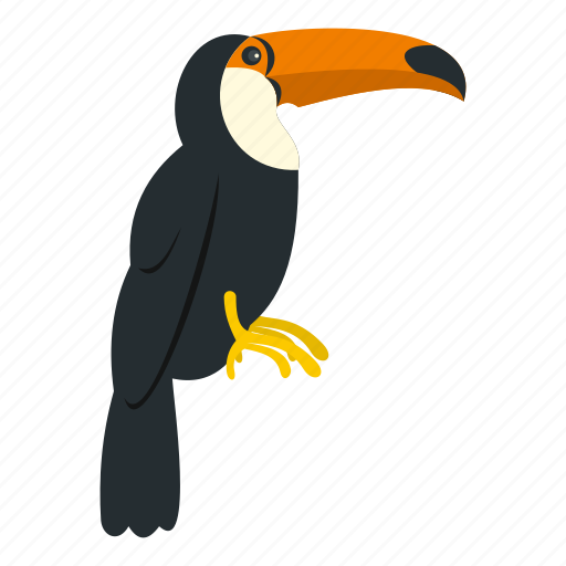 Beak, brazil, exotic, tail, toucan, tropical, wildlife icon - Download on Iconfinder