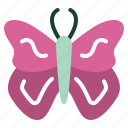 pink, butterfly, fly, sweet, nature, valentine, insect, animal, bug