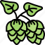 hops, flower, brewery, herbal, agriculture 