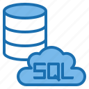 connection, database, interface, search, sql, technology, webpage
