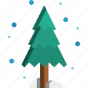 pine, tree, winter, cold, snowfall, snow