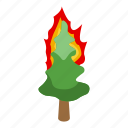 burning, spruce, isometric