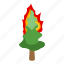 burning, spruce, isometric 