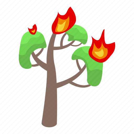 Burning, oak, isometric icon - Download on Iconfinder
