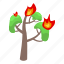 burning, oak, isometric 