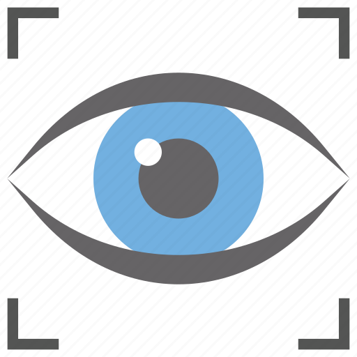 Biometric scanning, eye scanning, eye tracking, personal identification, recognition icon - Download on Iconfinder