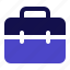 briefcase, portfolio, business, suitcase, bag 