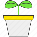 ecology, flower pot, growth, nature, plant, sprout