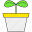 ecology, flower pot, growth, nature, plant, sprout 