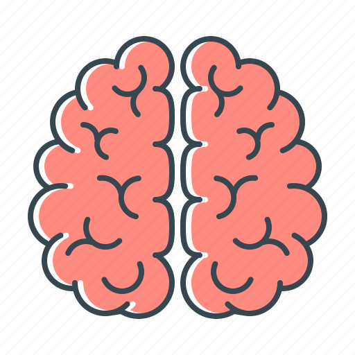 Brain, brainstorm, idea, mind, think, thinking icon - Download on Iconfinder