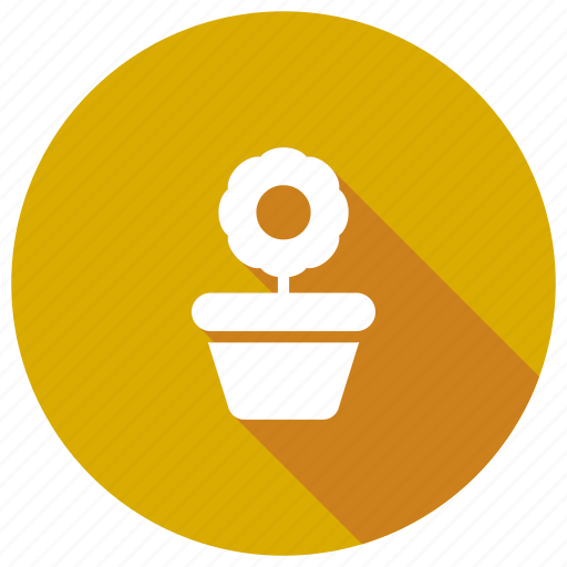 Flower, growth, nature, plant icon - Download on Iconfinder