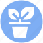 business growth, investment, leaf, office, plant, plant pot 