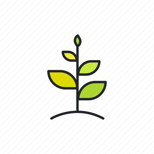 Business, grow, growing, metaphor, plant, start up, startup icon - Download on Iconfinder