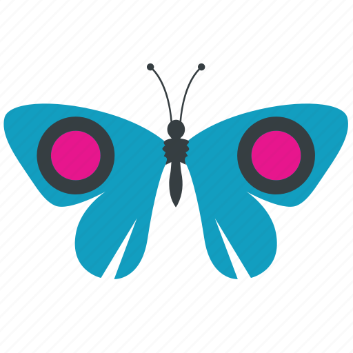 Animal, beauty, butterfly, fly, insect, nature, spring icon - Download on Iconfinder