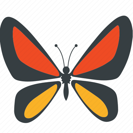 Animal, beauty, butterfly, fly, insect, nature, spring icon - Download on Iconfinder