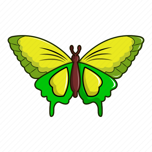 Birdwing, butterfly, cartoon, flower, goliath, summer, vintage icon - Download on Iconfinder
