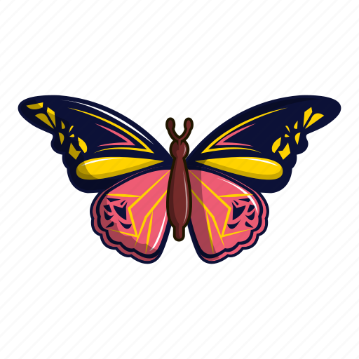 Butterfly, cartoon, frame, heart, nature, summer, wandered icon - Download on Iconfinder